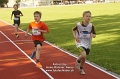 4231 baden_1